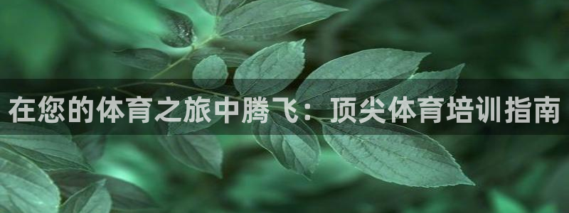 欧陆娱乐官方网站入口：在您的体育之旅中腾飞：顶尖体育