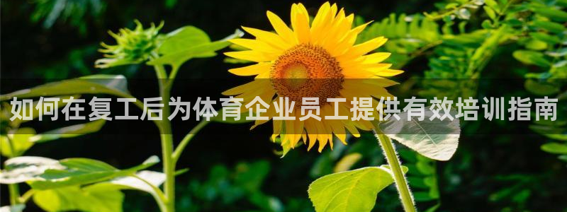 欧陆娱乐是那个旗下的品牌公司：如何在复工后为体育企业