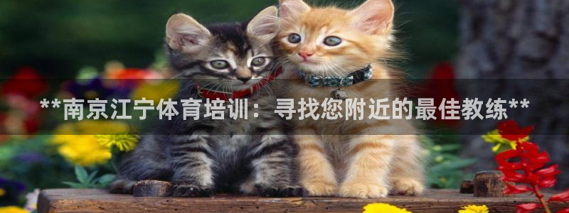 欧陆娱乐百科官网：**南京江宁体育培训：寻找您附近的