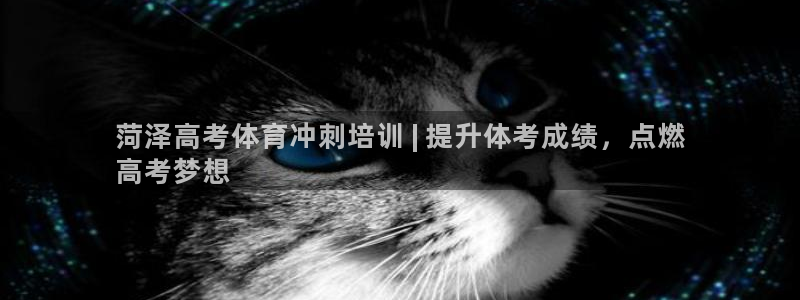 欧陆娱乐挂机怎么玩的：菏泽高考体育冲刺培训 | 提升