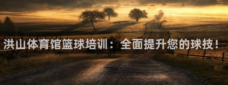欧陆娱乐分分彩：洪山体育馆篮球培训：全面提升您的球技