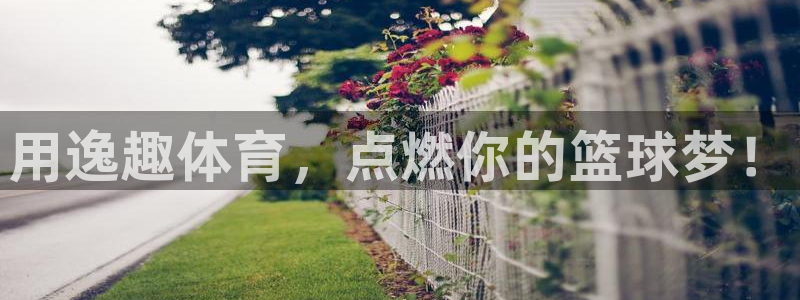 欧陆娱乐测速：用逸趣体育，点燃你的篮球梦！