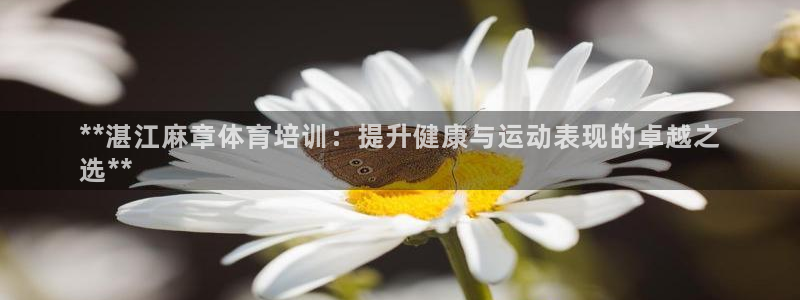 欧陆娱乐平台登录不上怎么办：**湛江麻章体育培训：提升健康与