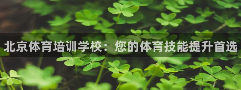 欧陆娱乐挂机怎么玩：北京体育培训学校：您的体育技能提