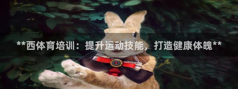 欧陆娱乐注册链接安全吗：**西体育培训：提升运动技能，打造健