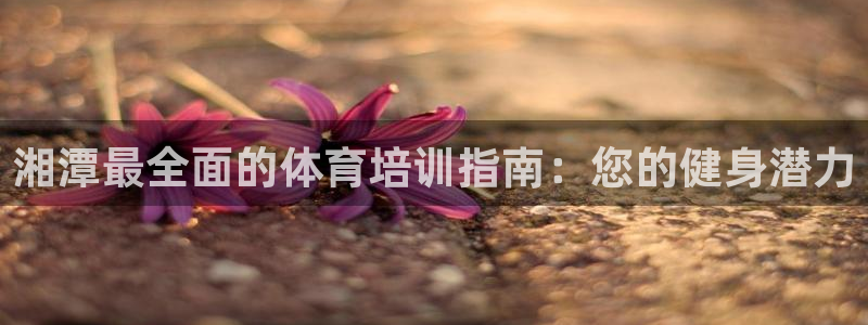 欧陆娱乐挂机项目怎么设置：湘潭最全面的体育培训指南：