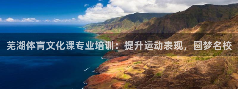 重庆欧陆娱乐有限公司：芜湖体育文化课专业培训：提升运动表现，