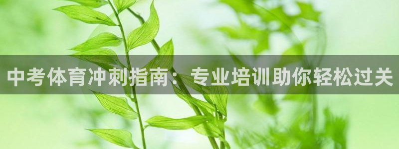 欧陆娱乐app攻略下载：中考体育冲刺指南：专业培训助你轻松过