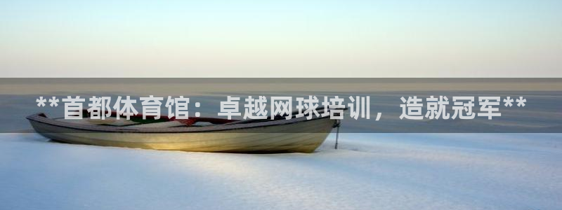 欧陆娱乐注册链接怎么弄出来：**首都体育馆：卓越网球