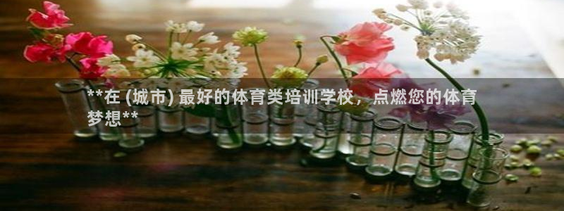欧陆娱乐登录官网：**在 (城市) 最好的体育类培训