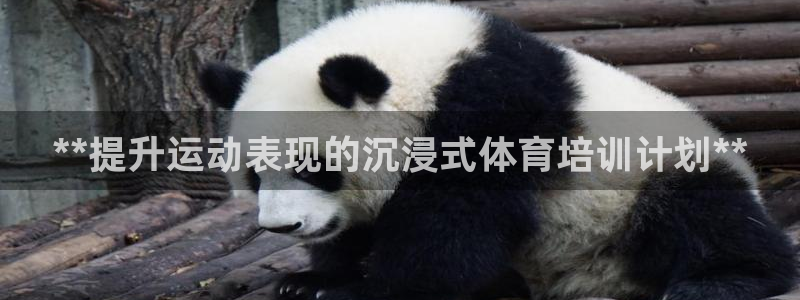 欧陆娱乐测速网站：**提升运动表现的沉浸式体育培训计