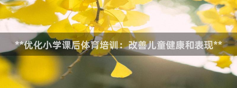 欧陆游戏平台：**优化小学课后体育培训：改善儿童健康