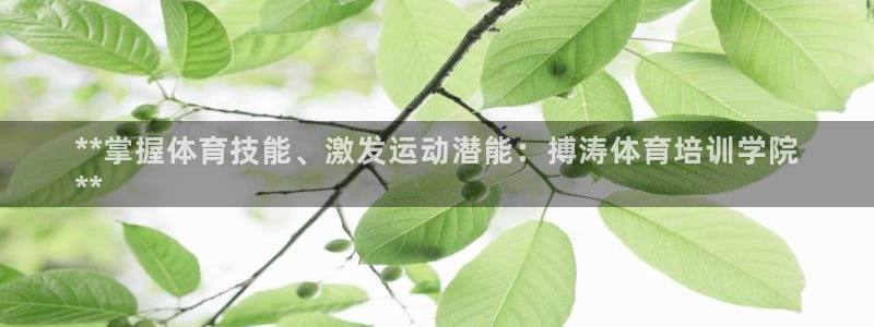 欧陆娱乐是什么：**掌握体育技能、激发运动潜能：搏涛