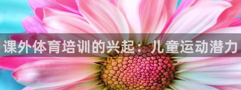 欧陆娱乐能提现嘛安全吗：课外体育培训的兴起：儿童运动